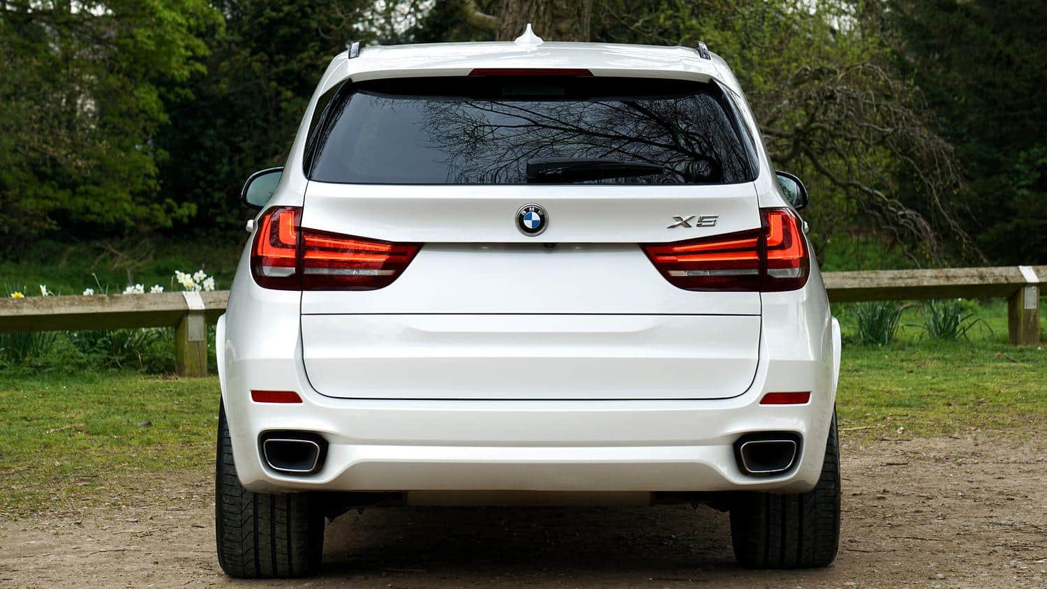 Vista trasera de un BMW X5 blanco en un entorno natural verde, destacando el diseño robusto y sofisticado del SUV.