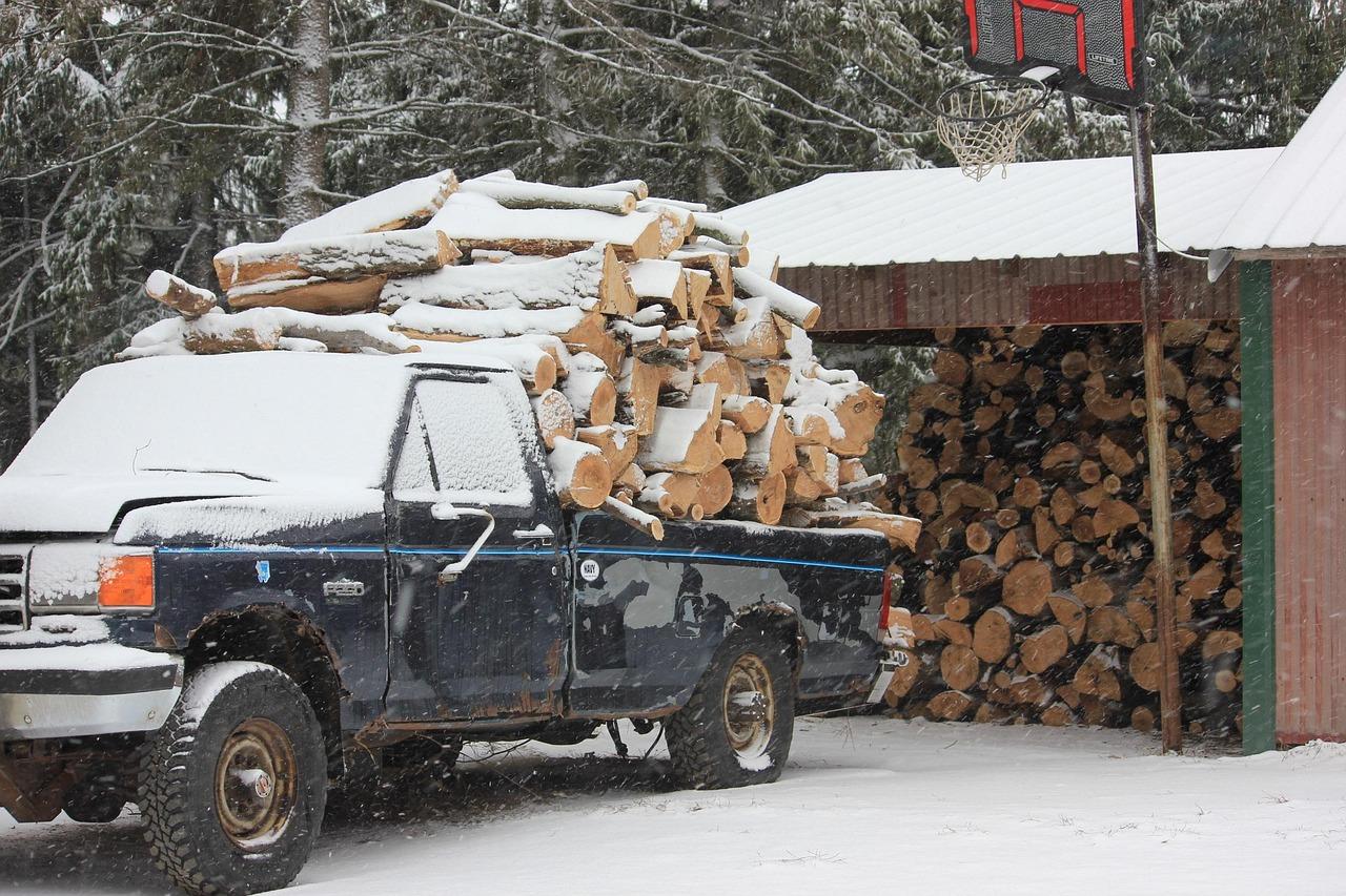 Camioneta pick up cargada con leña en un entorno invernal, mostrando la gran capacidad de carga de la zona abierta.