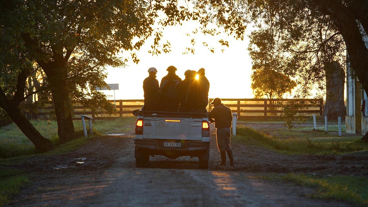 Grupo de trabajadores en la caja de una camioneta pick up en el campo durante el atardecer, representando la utilidad laboral del vehículo.