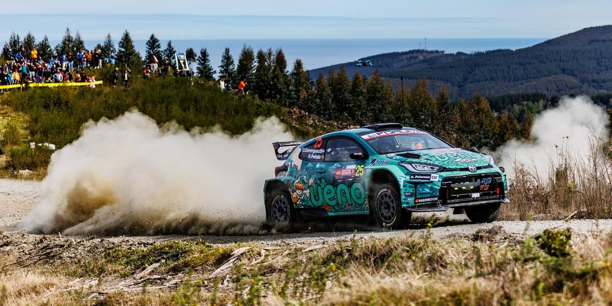 Rally de Chile