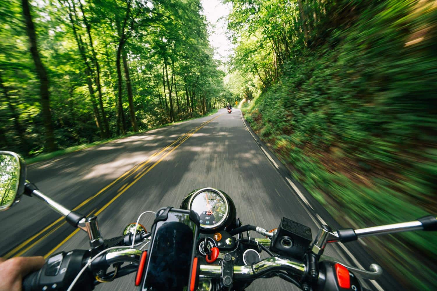 Viaje en motocicleta a través de carreteras boscosas y sinuosas, representando la conexión con la naturaleza.