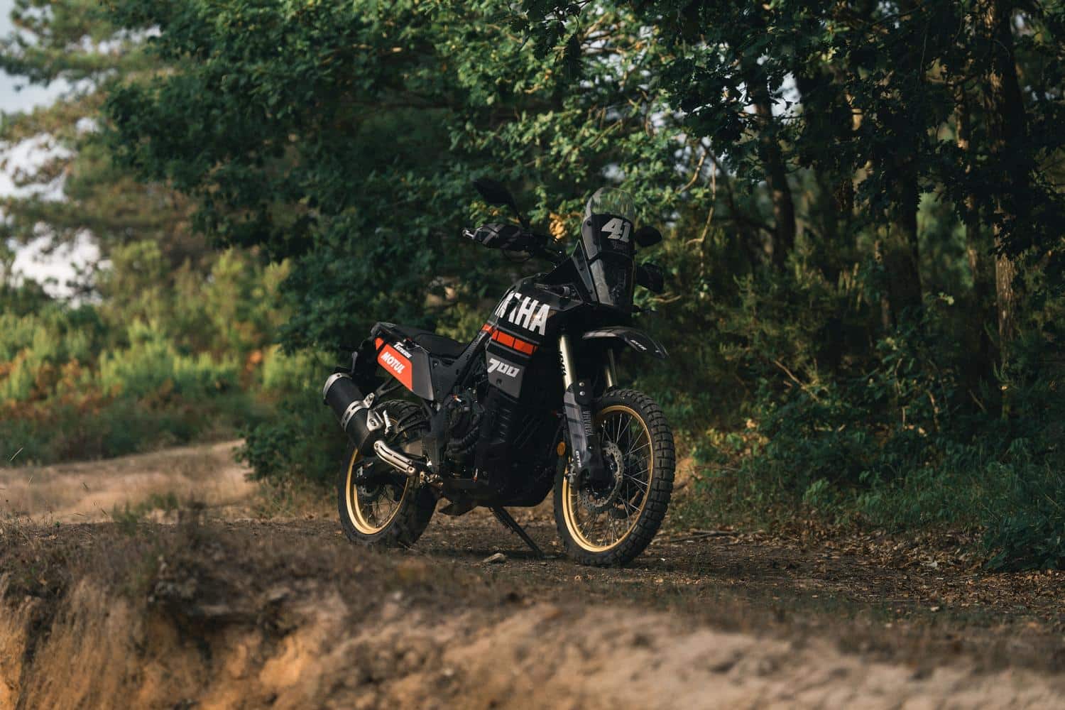Motocicleta Trail de aventura negra estacionada en un camino boscoso.
