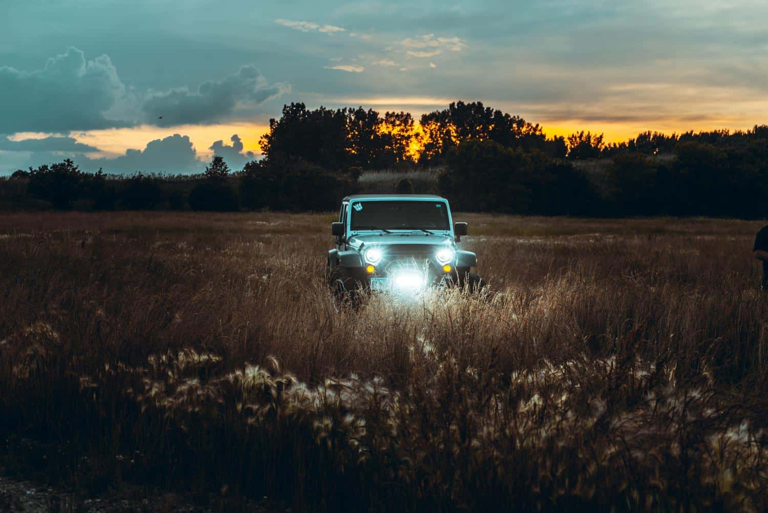 Un Jeep atravesando un campo dorado durante un atardecer, representando la versatilidad y el espíritu aventurero de la marca en la naturaleza.